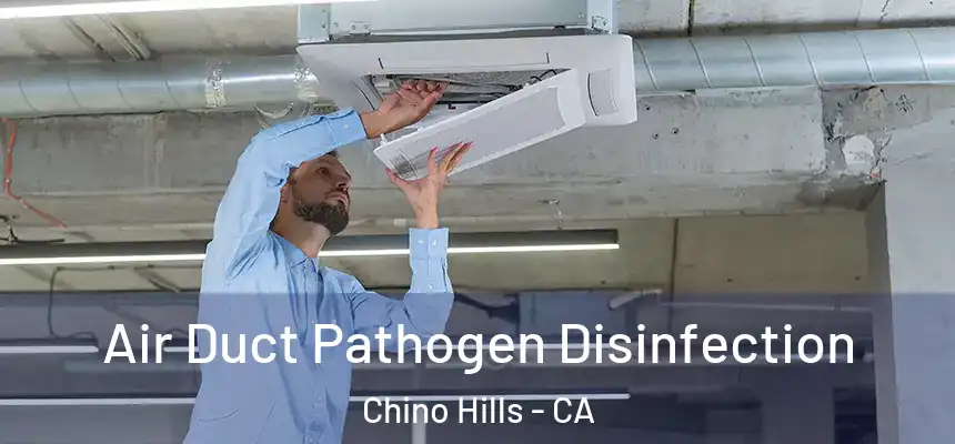 Air Duct Pathogen Disinfection Chino Hills - CA
