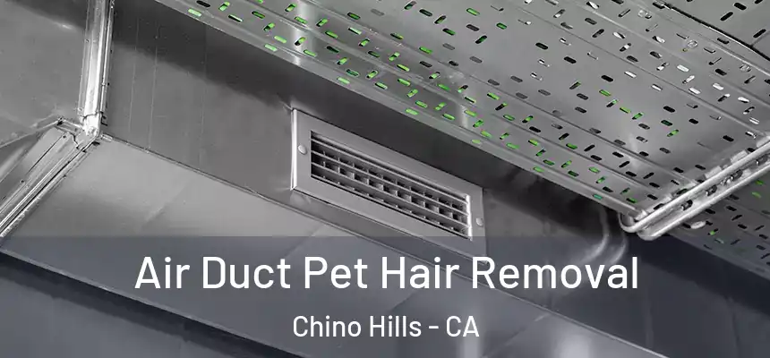  Air Duct Pet Hair Removal Chino Hills - CA