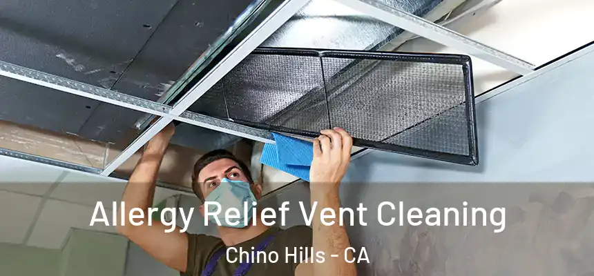 Allergy Relief Vent Cleaning Chino Hills - CA