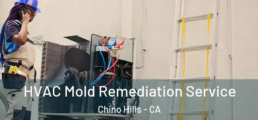  HVAC Mold Remediation Service Chino Hills - CA