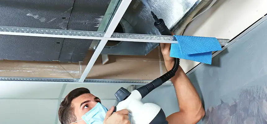 Our Air Duct Rodent Removal Services in Chino Hills, CA