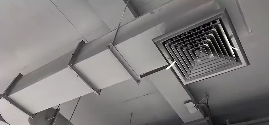 Restorative Allergy Relief Vent Cleaning – Coil, Blower & Housing Detail in Chino Hills