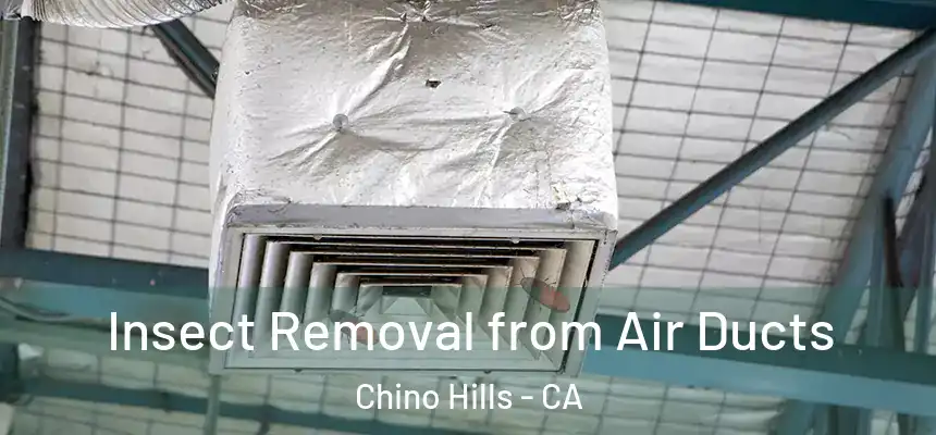 Insect Removal from Air Ducts Chino Hills - CA