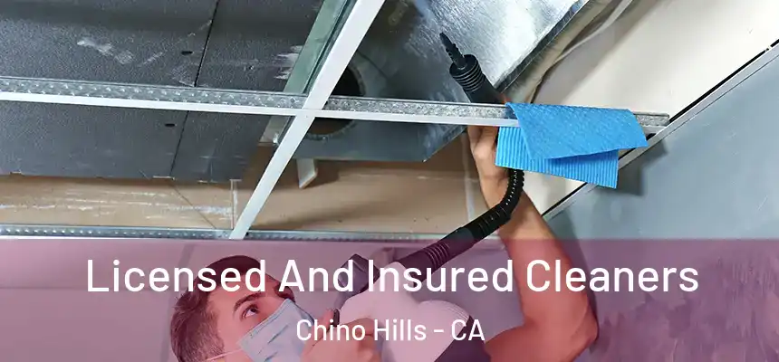 Licensed And Insured Cleaners Chino Hills - CA