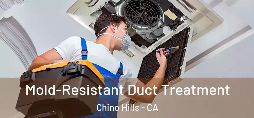  Mold-Resistant Duct Treatment Chino Hills - CA