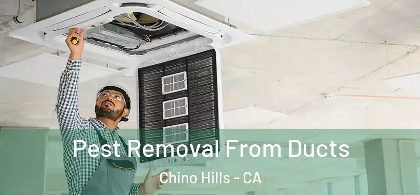 Pest Removal From Ducts Chino Hills - CA