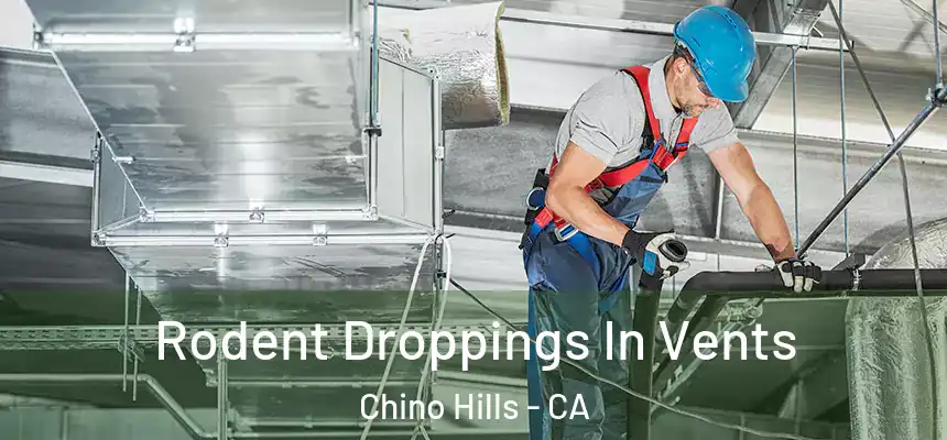  Rodent Droppings In Vents Chino Hills - CA