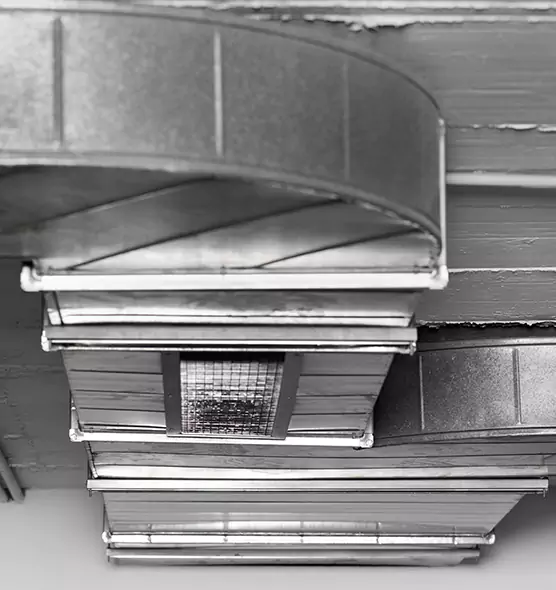 Professional Air Duct Pet Hair Removal in Chino Hills, CA