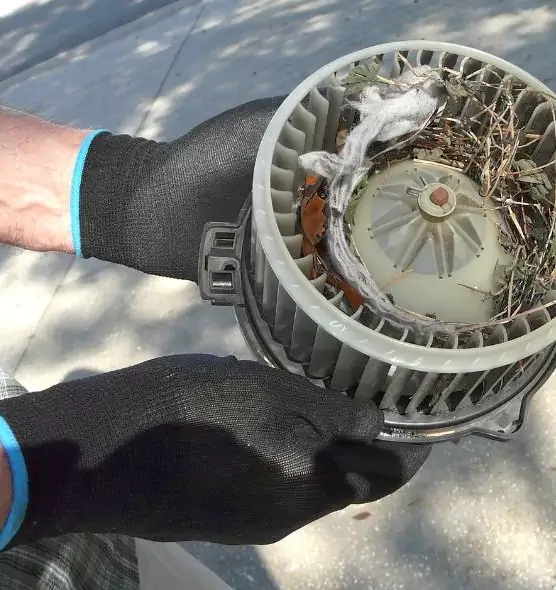 About Air Duct Rat Removal in Chino Hills, CA