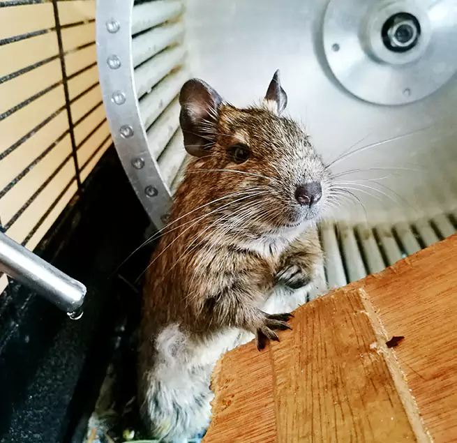 Why Homeowners & Businesses Trust Us Chino Hills, CA