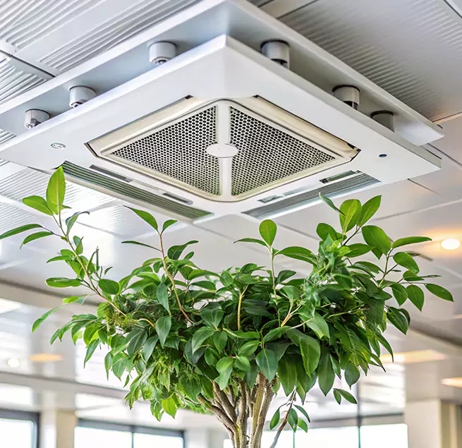 Why Homeowners & Businesses Trust Us in Chino Hills, CA?